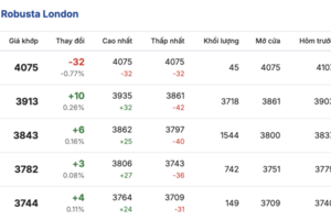 Giá cà phê hôm nay 13/1/2026: Giữ đà bình ổn