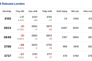 Giá cà phê hôm nay 16/1/2026: Biến động nhẹ