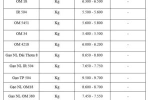 Giá lúa gạo hôm nay ngày 20/1: Gạo thơm neo cao