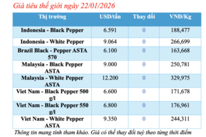 Giá tiêu hôm nay 22/1/2026: Duy trì ổn định