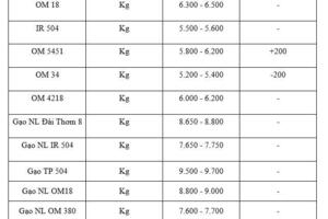 Giá lúa gạo hôm nay ngày 28/1/2026: Lúa tươi tăng giảm trái chiều