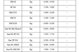 Giá lúa gạo hôm nay ngày 30/1/2026: Thị trường trầm lắng