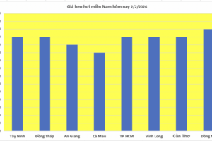 Giá heo hơi hôm nay 2/2/2026: Giảm diện rộng tại miền Bắc, miền Trung