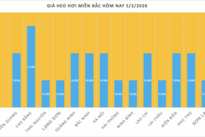 Giá heo hơi hôm nay 5/2/2026: Giảm diện rộng