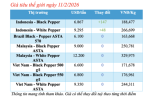 Giá tiêu hôm nay 11/2/2026: Tăng nhẹ 500 đồng/kg