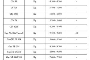 Giá lúa gạo hôm nay ngày 11/2/2026: Gạo nguyên liệu xuất khẩu giảm nhẹ