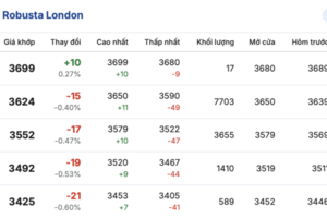 Giá cà phê hôm nay 2/3/2026: Cao nhất 96.000 đồng/kg
