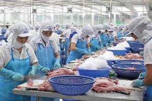 Yếu tố nào giúp xuất khẩu thủy sản tăng trưởng đầu năm 2026?