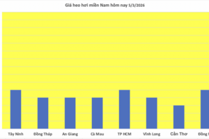 Giá heo hơi hôm nay 5/3/2026: Tiếp tục giảm nhiều nơi