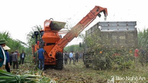 Huyện Tân Kỳ với những đề án kinh tế hiệu quả