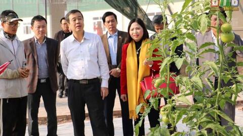 Thăm một số mô hình sản xuất trên địa bàn huyện Vũ Thư và thành phố Thái Bình
