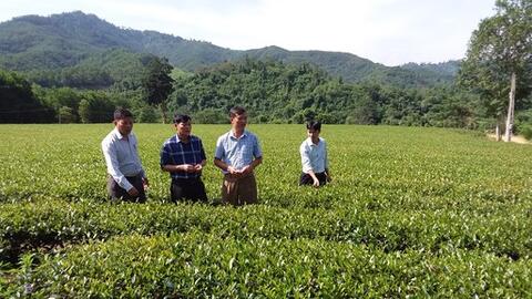 Anh Sơn ước đạt 2.182 tỷ đồng tổng huy động vốn đầu tư toàn xã hội