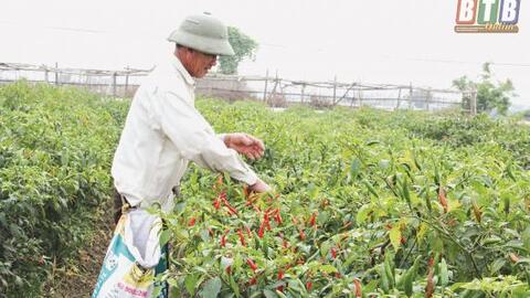 Phát triển nông nghiệp: Nhìn từ việc áp dụng cơ giới hóa