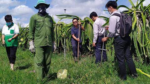 Việt Nam gửi mẫu đất sang Hà Lan để kiểm định chất lượng