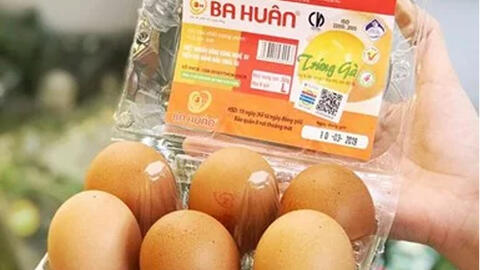Công ty Ba Huân tiếp tục không tăng giá trứng nhằm hỗ trợ người lao động nghèo