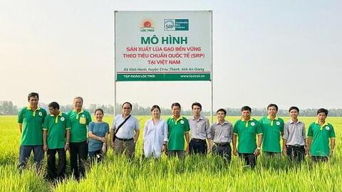 Tập đoàn Lộc Trời tăng cường đào tạo "người hướng dẫn chuyên nghiệp" trong canh tác lúa bền vững
