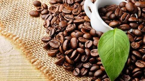 Anh giảm nhập khẩu cà phê từ thị trường Việt Nam