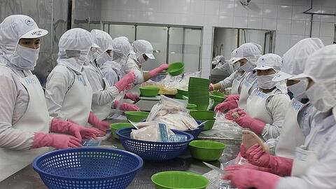 Xuất khẩu cá ngừ đột ngột giảm sâu