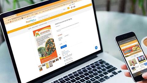 3.000 tấn cam Hàm Yên sẽ được hỗ trợ tiêu thụ