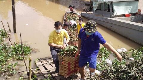 Tiêu thụ nông sản qua thương mại điện tử: Góp phần phục hồi kinh tế nông nghiệp trong đại dịch