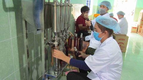 Bình Định: 100% cơ sở có nhu cầu được hỗ trợ phát triển sản phẩm công nghiệp nông thôn tiêu biểu