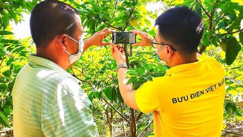 Đưa nông sản lên sàn thương mại điện tử: Nâng chất cho nông sản Việt