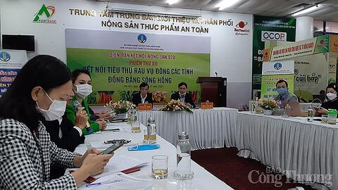 Kết nối tiêu thụ rau vụ Đông các tỉnh đồng bằng sông Hồng