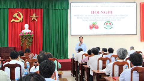 Triển khai tổ chức quản lý, kiểm soát và sử dụng chỉ dẫn địa lý 'Châu Thành Long An' cho trái thanh long