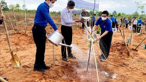Đồng loạt ra quân 'Ngày Chủ nhật xanh' toàn quốc năm 2022