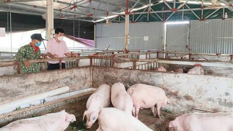 Tái cơ cấu nông nghiệp, thúc đẩy kinh tế địa phương