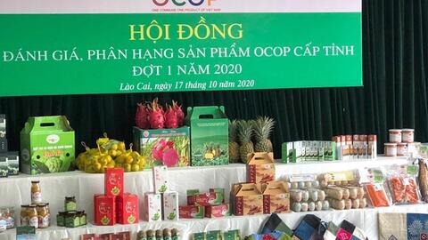 Lào Cai: Xây dựng sản phẩm OCOP không thể chạy theo số lượng