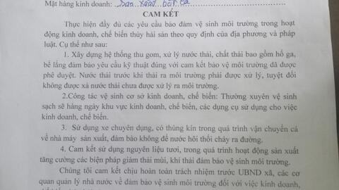 Bị phạt 60 triệu đồng, nhà máy chế biến bột cá vẫn gây ô nhiễm