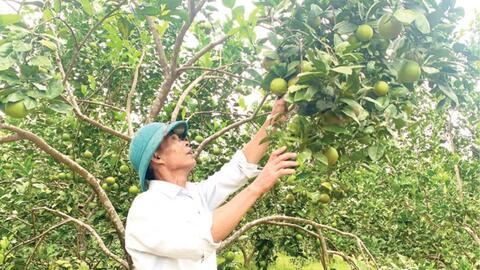 Hương Xuân về đích nông thôn mới nâng cao
