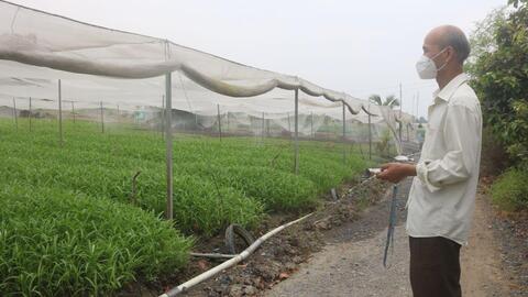 Duy trì, nhân rộng các hợp tác xã điểm, điển hình trong sản xuất ứng dụng công nghệ cao