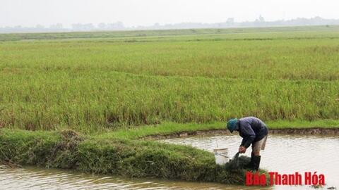 Không để bỏ hoang ruộng đất