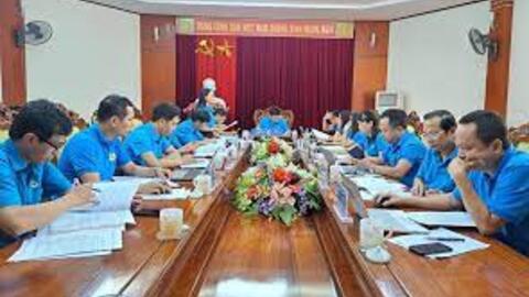 Góp ý các đề án nâng cao chất lượng hoạt động công đoàn cơ sở và phòng ngừa, hạn chế đình công