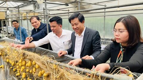 Ngành nông nghiệp Thủ đô “hồi sinh” sau bão, lũ