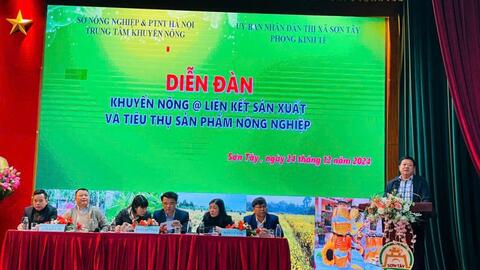 Xây dựng chuỗi liên kết sản xuất và tiêu thụ sản phẩm nông nghiệp bền vững