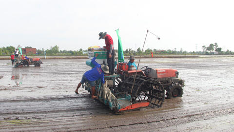 Nông dân tập trung sản xuất ngay từ đầu năm
