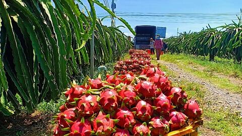 Nông sản Việt: Thích ứng với 'cuộc chơi' thị trường