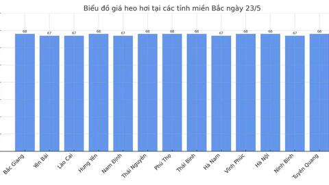 Giá heo hơi hôm nay 23/5/2025: Miền Bắc quay đầu giảm nhẹ