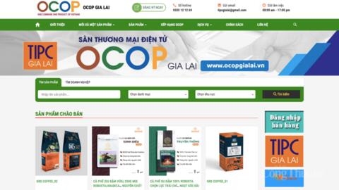 Thương mại điện tử mở lối cho nông sản Gia Lai vươn tầm