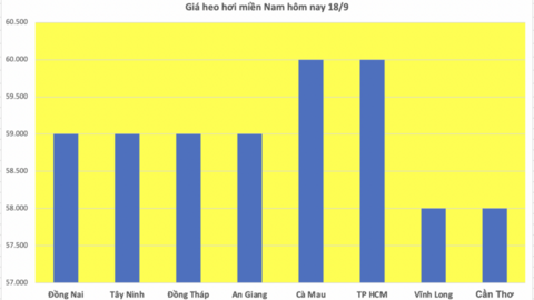 Giá heo hơi hôm nay 18/9/2025: Miền Bắc giảm tới 2.000 đồng/kg