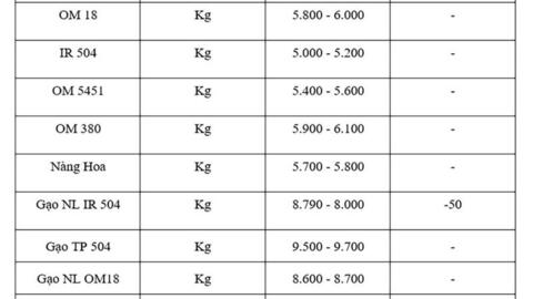 Giá lúa gạo hôm nay ngày 21/10: Thị trường lặng sóng
