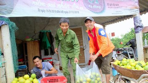 Cam Vinh vào chính vụ thu hoạch, thu 400 triệu đồng/ha