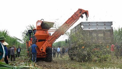 Huyện Tân Kỳ với những đề án kinh tế hiệu quả