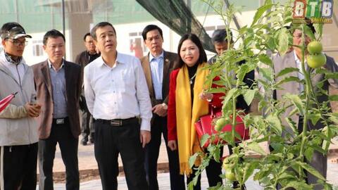 Thăm một số mô hình sản xuất trên địa bàn huyện Vũ Thư và thành phố Thái Bình