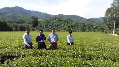 Anh Sơn ước đạt 2.182 tỷ đồng tổng huy động vốn đầu tư toàn xã hội