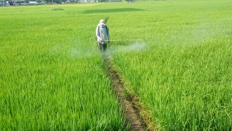 Bến Lức: Bảo đảm sản xuất nông nghiệp và phòng, chống dịch Covid-19