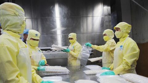 Duy trì lợi thế ngành tôm